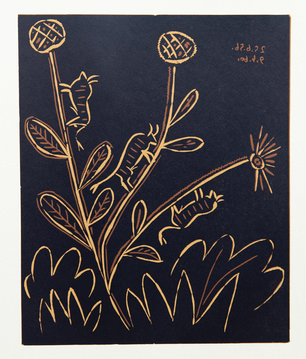 Pablo Picasso Bull Flower - Linogravures – Goldmark