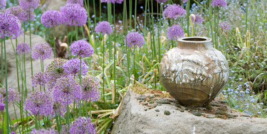 'Houseplants and Mountain Trees' - Pots for the Hand & Eye