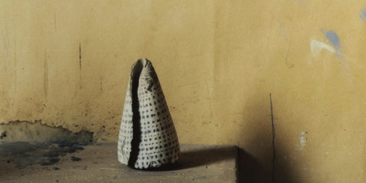 Morandi & Morwenna | Colours of Light and Dust