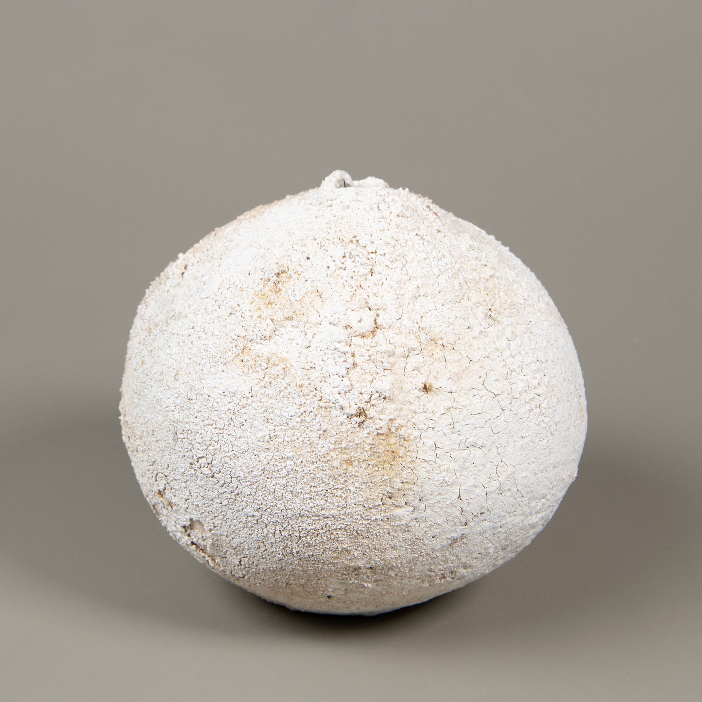 Poppy Pod