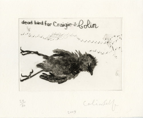 Dead Bird for Craigie No 3