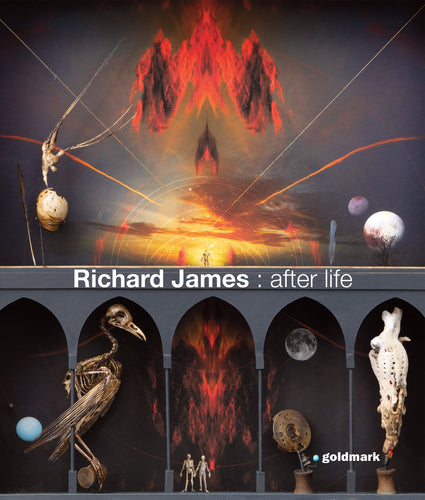 Richard James - After Life