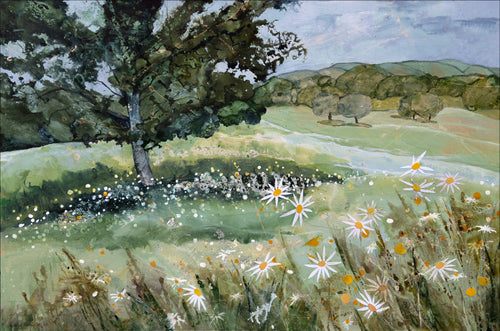 A Profusion of Daisies in the Meadow