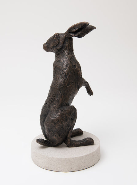 Hare Standing