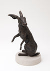 Hare Standing