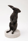 Hare Standing